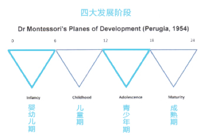 四大发展阶段——孩子每一次的自我建构